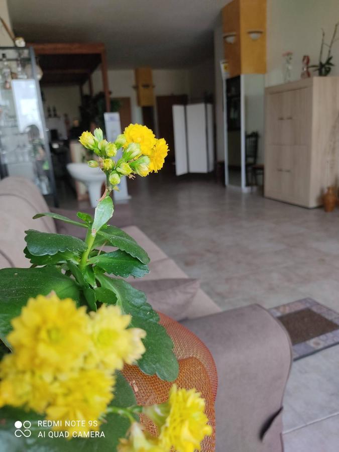 B&B Borgo Pileri Mazzarino Экстерьер фото